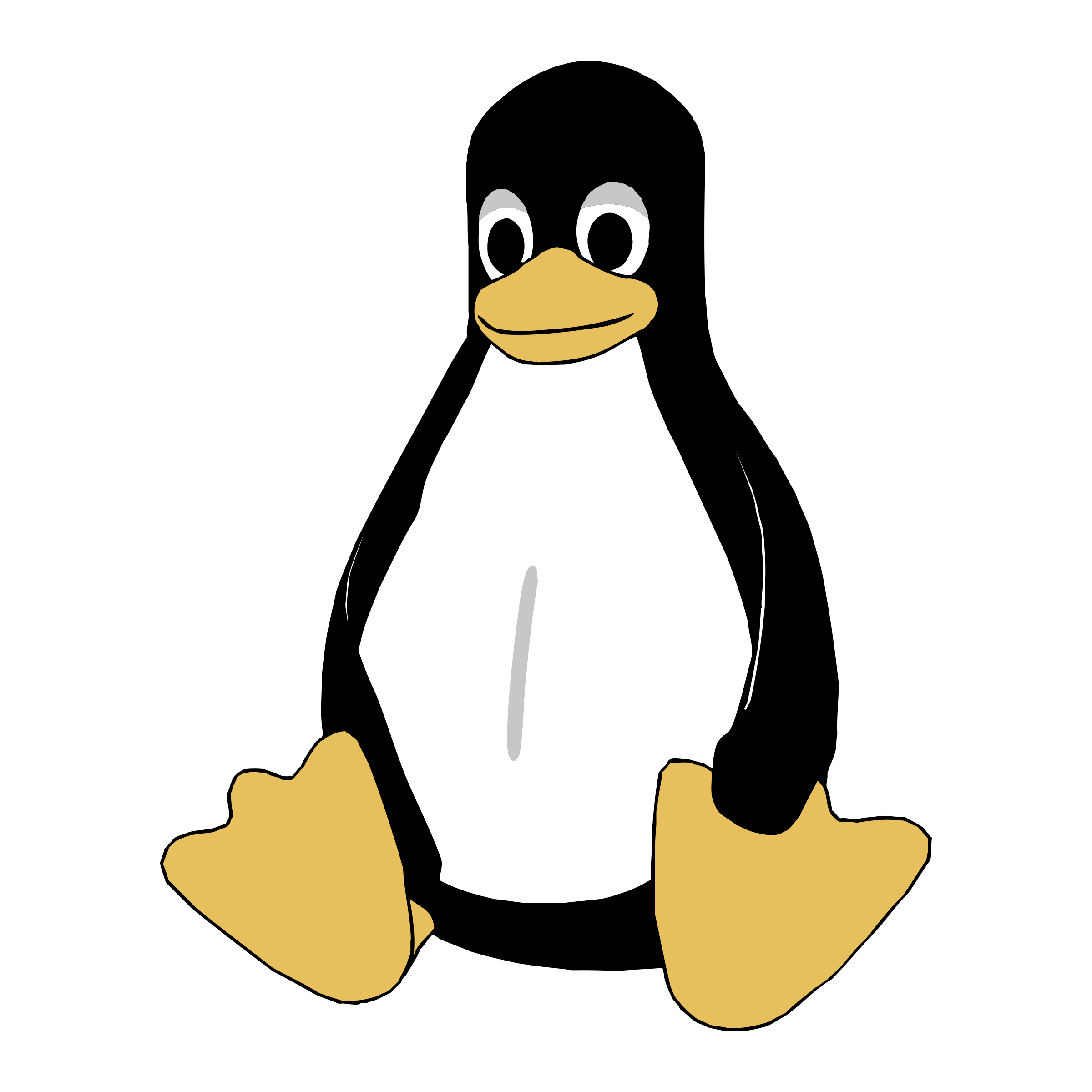 Linux Servers Icon